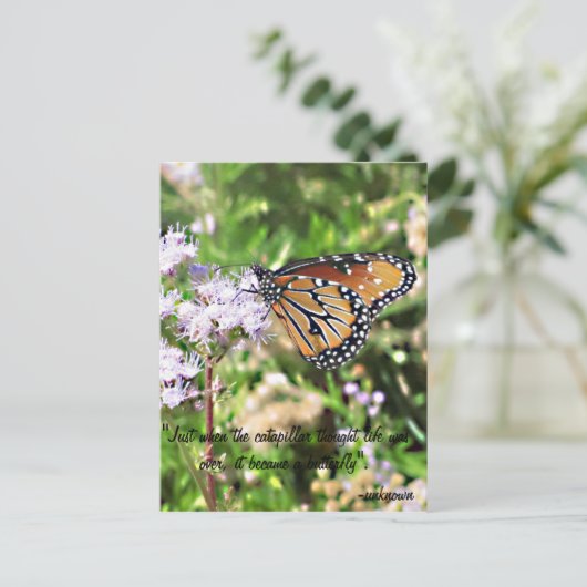 マダラチョウの郵便はがき ポストカード (スタンド正面)