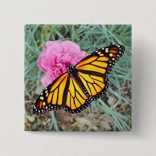 マダラチョウボタン 缶バッジ (正面)