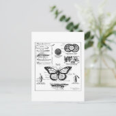 マダラチョウ情報 ポストカード (スタンド正面)