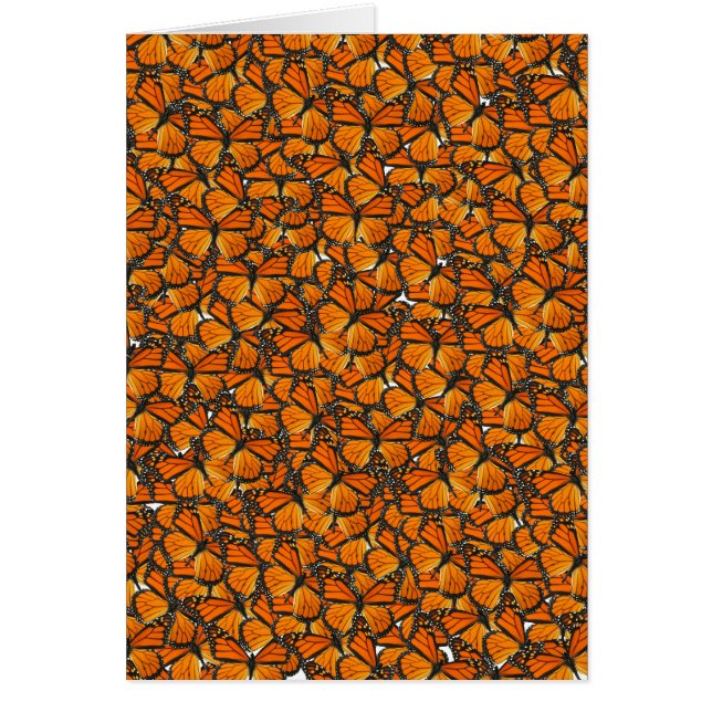 マダラチョウ (正面)