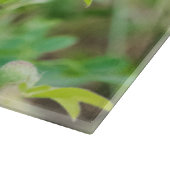 マダラチョウ カッティングボード (角)