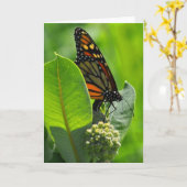 マダラチョウ カード (黄色い花)