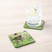 マダラチョウ コースター (右側)