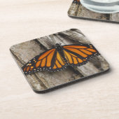 マダラチョウ コースター (左側)