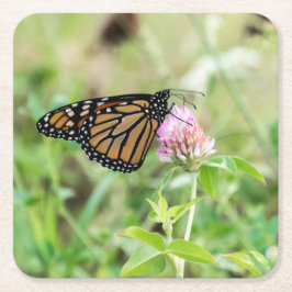 マダラチョウ スクエアペーパーコースター