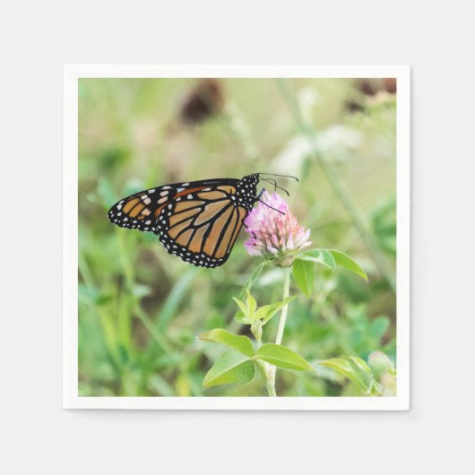マダラチョウ スタンダードカクテルナプキン (正面)