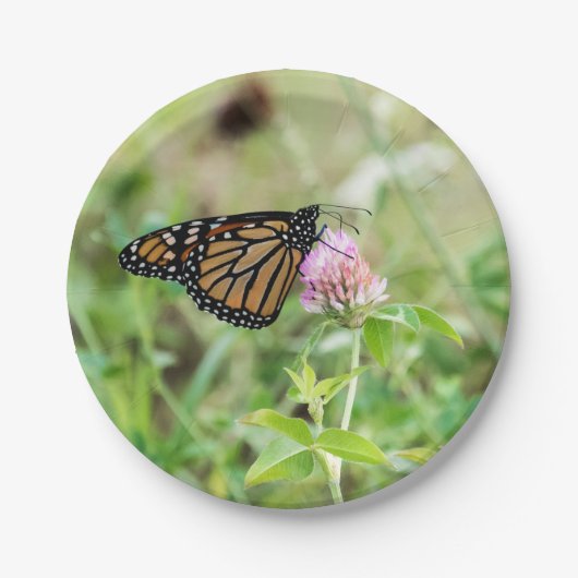 マダラチョウ ペーパープレート (正面)