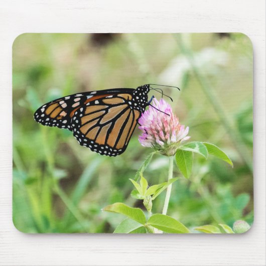 マダラチョウ マウスパッド (正面)