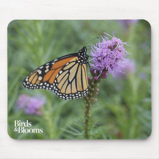 マダラチョウ マウスパッド (正面)