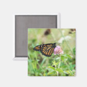 マダラチョウ マグネット (正面/裏面)