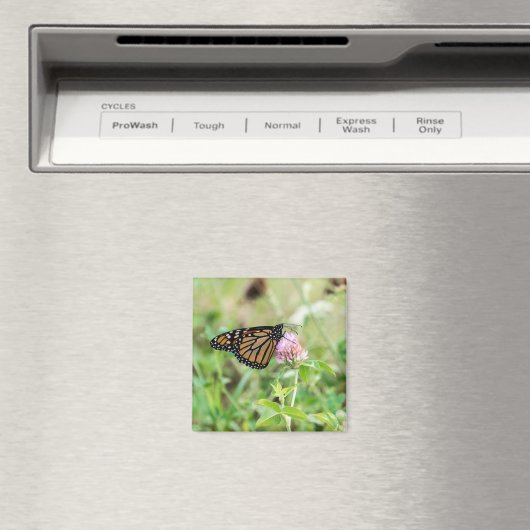 マダラチョウ マグネット (インサイチュ (食洗機))