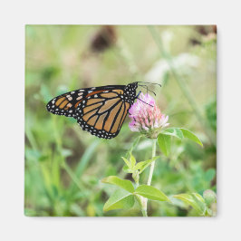 マダラチョウ マグネット