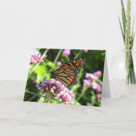 マダラチョウNotecard カード