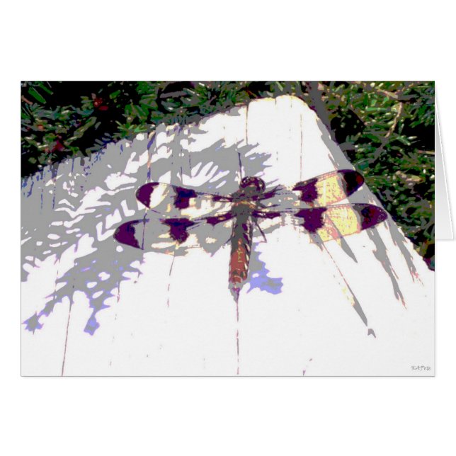 マダラトンボ (正面横)