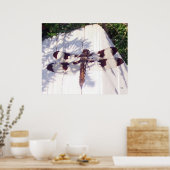 マダラトンボ ポスター (キッチン)