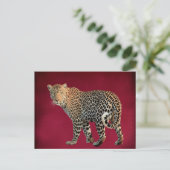 マダラヒョウ野猫写真 ポストカード (スタンド正面)