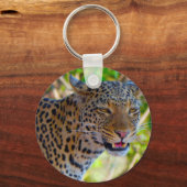 マダラヒョウ キーホルダー (正面)