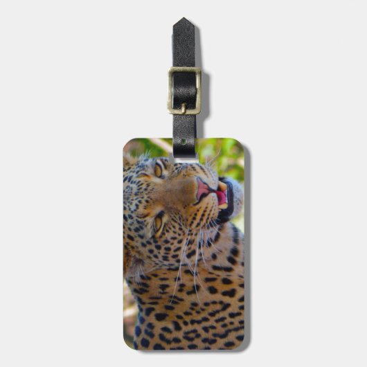 マダラヒョウ ラゲッジタグ (正面縦)