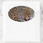 マダラヒョウ 楕円形シール (バッグ)