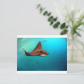 マダラワシ諸島 ポストカード (スタンド正面)