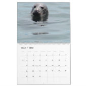 マダラ岬カレンダーのシール カレンダー (3月 2026)