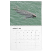 マダラ岬カレンダーのシール カレンダー (2月 2026)