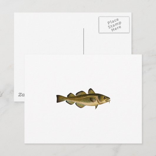 マダラ ポストカード (正面/裏面)