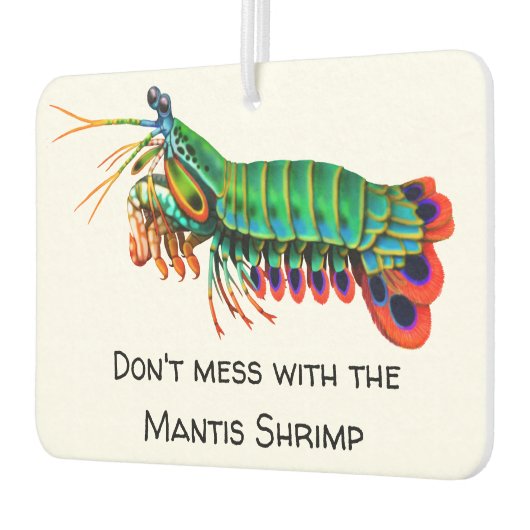 マチスエビ塩水族館エアーフレッシュナー カーエアーフレッシュナー (左)