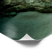 マチスエビAngelfish Saltwater Reef Fish ポスター (コーナー)