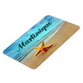 マチニークのヒトデ マグネット (左側)