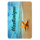 マチニークのヒトデ マグネット (縦)