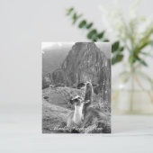 マチュピチペルー ポストカード (スタンド正面)