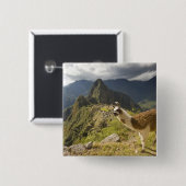 マチュピチュを見下ろすと 缶バッジ (正面&裏面)