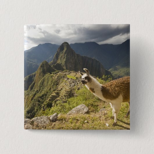 マチュピチュを見下ろすと 缶バッジ (正面)