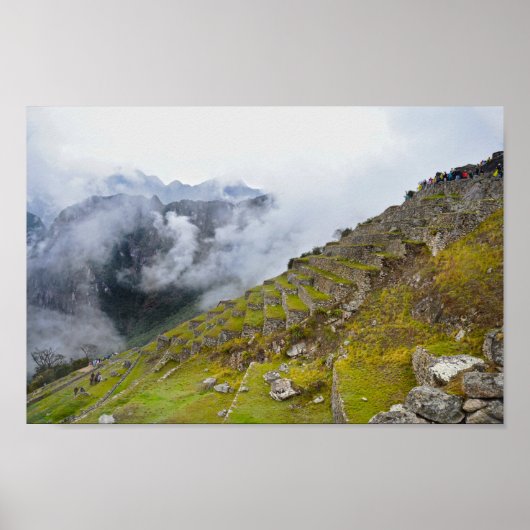 マチュピチュ，ペルー，テラス ポスター (正面)