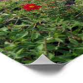 マチュピチュ，ペルー ポスター (角)