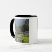 マチュ·ピチュペルーのインカ市の遺跡。2 マグカップ (正面左)