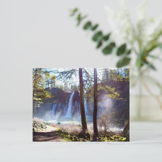 マッカーサー・バーニー滝記念州立公園 ポストカード (スタンド正面)