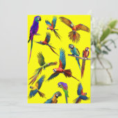 マッカージとマッカージの増加 シーズンカード (スタンド正面)