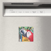 マッキスをするク磁石 マグネット (インサイチュ (食洗機))