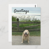マッキナック島からのゴールデンレトリバーの挨拶 ポストカード (正面/裏面)