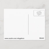 マッキナック島の風景 ポストカード (裏面)