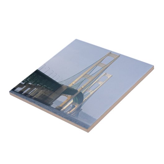 マッキナック橋 タイル (側面)