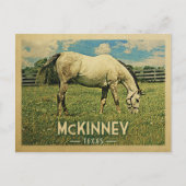 マッキニーテキサス州ホースファーム – ヴィンテージトラベル ポストカード (正面)