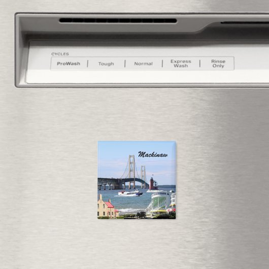 マッキノーシティマグネット マグネット (インサイチュ (食洗機))