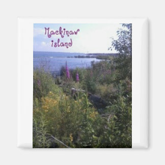 マッキノー島磁石 マグネット