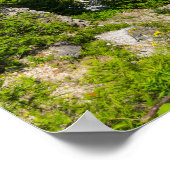 マッキンクスアーチロック ポスター (角)