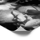 マッキントッシュアップルオンツリーブラックとホワイト抽象芸術 ポスター (角)