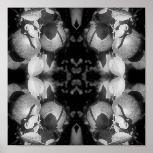 マッキントッシュアップルオンツリーブラックとホワイト抽象芸術 ポスター (正面)