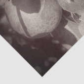 マッキントッシュ白黒ヴィンテージデクページ 薄葉紙 (詳細)